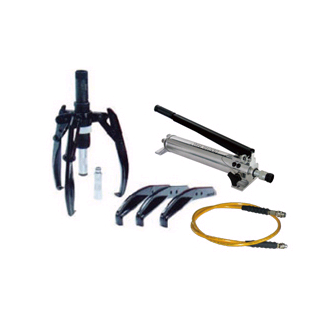 UK���w���R